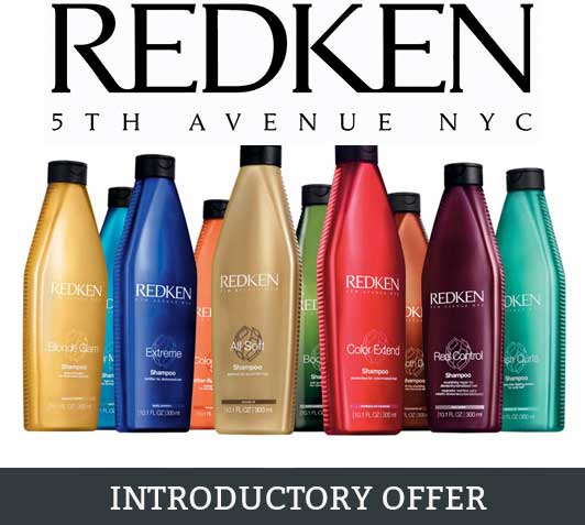 Introductory Offer Introductory Offer