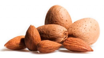 8 Foods That Help Your Hair Grow Faster at HUSH Hair in Birmingham