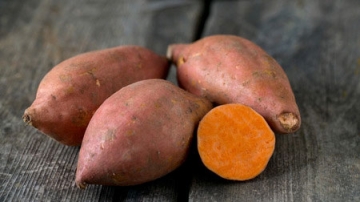 8 Foods That Help Your Hair Grow Faster at HUSH Hair in Birmingham