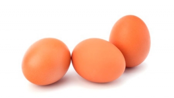 8 Foods That Help Your Hair Grow Faster at HUSH Hair in Birmingham
